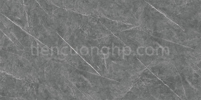 Gạch Viglacera 30x60 KR 3604